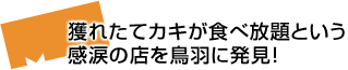 獲れたてカキが食べ放題という感涙の店を鳥羽に発見！