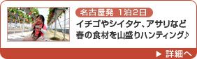 名古屋発1泊2日 イチゴやシイタケ、アサリなど春の食材を山盛りハンティング♪