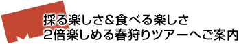 採る楽しさ＆食べる楽しさ2倍楽しめる春狩りツアーへご案内