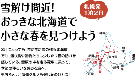 『雪解け間近！おっきな北海道で小さな春を見つけよう』3月に入っても、まだまだ雪の残る北海道。でも、渡り鳥や動物たちは少しずつ春の訪れを感じている。雪原の中を走る電車に乗って、季節の移ろいを感じる旅へ。もちろん、北海道グルメも楽しみのひとつ！