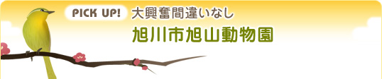 pick up! 大興奮間違いなし 旭川市旭山動物園