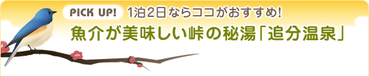 pick up! 1泊2日ならココがおすすめ！ 魚介が美味しい峠の秘湯「追分温泉」