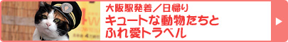 大阪駅発着／日帰り　キュートな動物たちとふれ愛トラベル