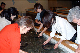 甲斐黄金村・湯之奥金山博物館