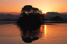 平池緑地公園