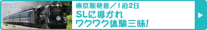 東京駅発着／1泊2日　SLに導かれワクワク体験三昧！