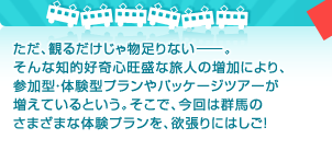 ただ、観るだけじゃ物足りない――。そんな知的好奇心旺盛な旅人の増加により、参加型・体験型プランやパッケージツアーが増えているという。そこで、今回は群馬のさまざまな体験プランを、欲張りにはしご！