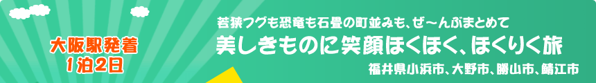 大阪駅発着／1泊2日　若狭フグも恐竜も石畳の町並みも、ぜ～んぶまとめて『美しきものに笑顔ほくほく、ほくりく旅』福井県小浜市、大野市、勝山市、鯖江市