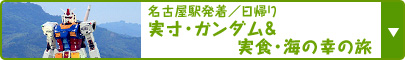 名古屋駅発着／日帰り あの○○観賞がはじまった＆間に合った！実寸・ガンダム＆実食・海の幸の旅