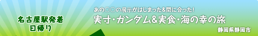 名古屋駅発着／日帰り あの○○観賞がはじまった＆間に合った！実寸・ガンダム＆実食・海の幸の旅 静岡県静岡市