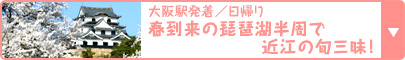 大阪駅発着／日帰り 今“日本で最も有名な三姉妹”ゆかりの地も、揃ってます 春到来の琵琶湖半周で近江の旬三昧！