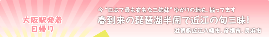 大阪駅発着／日帰り 今“日本で最も有名な三姉妹”ゆかりの地も、揃ってます 春到来の琵琶湖半周で近江の旬三昧！ 滋賀県近江八幡市、彦根市、長浜市