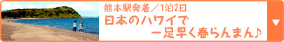 熊本駅発着／1泊2日 3月12日の九州新幹線全線開業で、話題満載の南九州へ 日本のハワイで一足早く春らんまん♪