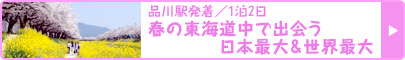 品川駅発着／1泊2日 尾張名古屋は“新名所”でもつ！ 春の東海道中で出会う日本最大＆世界最大