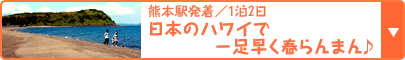 熊本駅発着／1泊2日 3月12日の九州新幹線全線開業で、話題満載の南九州へ 日本のハワイで一足早く春らんまん♪