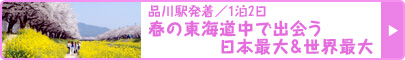 品川駅発着／1泊2日 尾張名古屋は“新名所”でもつ！ 春の東海道中で出会う日本最大＆世界最大