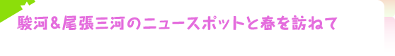 駿河＆尾張三河のニュースポットと春を訪ねて