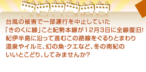 台風の被害で一部運行を中止していた 「きのくに線」こと紀勢本線が12月3日に全線復旧！ 紀伊半島に沿って進むこの路線をぐるりとまわり 温泉やイルミ、幻の魚・クエなど、冬の南紀の いいとこどり、してみませんか？