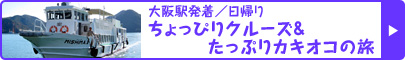 大阪駅発着／日帰り  ちょっぴりクルーズ＆たっぷりカキオコの旅