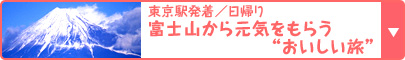 東京駅発着／日帰り 富士山から元気をもらう“おいしい旅” 