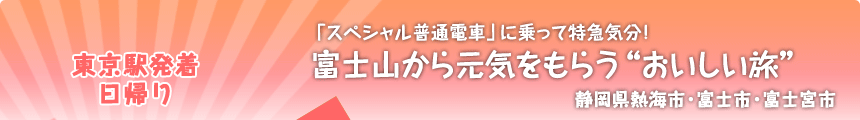 東京駅発着／日帰り 「スペシャル普通電車」に乗って特急気分！ 富士山から元気をもらう“おいしい旅” 静岡県熱海市・富士市・富士宮市