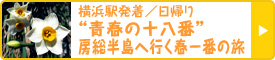 横浜駅発着／日帰り“青春の十八番”房総半島へ行く春一番の旅