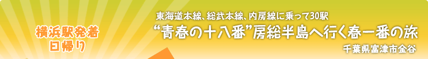 横浜駅発着／日帰り 東海道本線、総武本線、内房線に乗って30駅 “青春の十八番”房総半島へ行く春一番の旅 千葉県富津市金谷