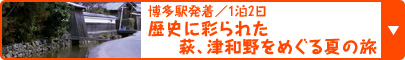 博多駅発着／1泊2日  歴史に彩られた萩、津和野をめぐる夏の旅