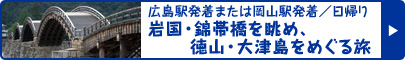 広島駅発着または岡山駅発着／日帰り 岩国・錦帯橋を眺め、徳山・大津島をめぐる旅 