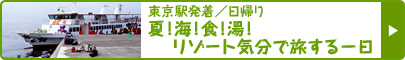 東京駅発着／日帰り 夏！海！食！湯！ リゾート気分で旅する一日 