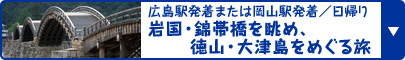 広島駅発着または岡山駅発着／日帰り 岩国・錦帯橋を眺め、徳山・大津島をめぐる旅 