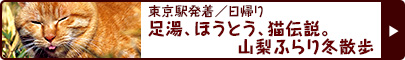 東京駅発着／日帰り 足湯、ほうとう、猫伝説。山梨ふらり冬散歩