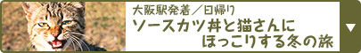 大阪駅発着／日帰り ソースカツ丼と猫さんにほっこりする冬の旅