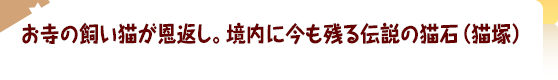 お寺の飼い猫が恩返し。境内に今も残る伝説の猫石（猫塚）