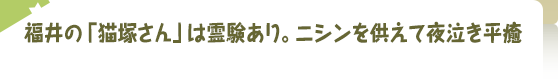 福井の「猫塚さん」は霊験あり。ニシンを供えて夜泣き平癒