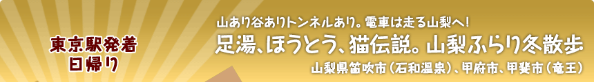 東京駅発着／日帰り 山あり谷ありトンネルあり。電車は走る山梨へ！足湯、ほうとう、猫伝説。山梨ふらり冬散歩 山梨県笛吹市（石和温泉）、甲府市、甲斐市（竜王）