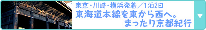 東京・川崎・横浜発着／1泊2日｜東海道本線を東から西へ。まったり京都紀行