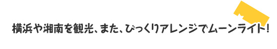 横浜や湘南を観光、また、びっくりアレンジでムーンライト！