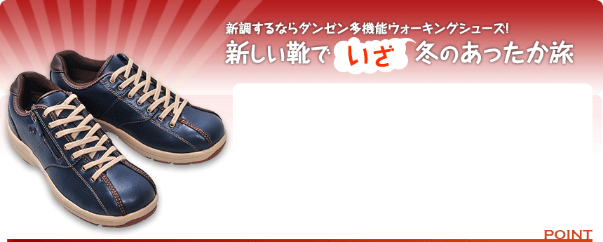 新調するならダンゼン多機能ウォーキングシューズ!｜新しい靴で いざ！冬のあったか旅