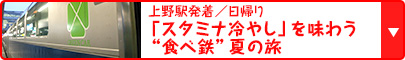 上野駅発着／日帰り｜「スタミナ冷やし」を味わう“食べ鉄”夏の旅