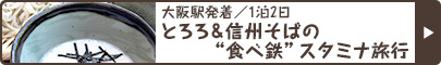 大阪駅発着／1泊2日｜とろろ＆信州そばの“食べ鉄”スタミナ旅行