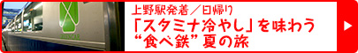 上野駅発着／日帰り｜「スタミナ冷やし」を味わう“食べ鉄”夏の旅
