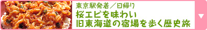 東京駅発着／日帰り｜桜エビを味わい旧東海道の宿場を歩く歴史旅