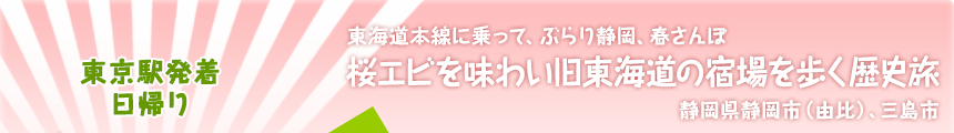 東京駅発着／日帰り｜東海道本線に乗って、ぶらり静岡、春さんぽ｜桜エビを味わい旧東海道の宿場を歩く歴史旅｜静岡県静岡市（由比）、三島市