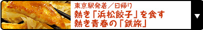 東京駅発着／日帰り｜熱き「浜松餃子」を食す熱き青春の「鉄旅」