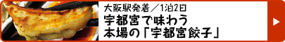 大阪駅発着／1泊2日｜宇都宮で味わう本場の「宇都宮餃子」