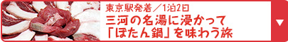 東京駅発着／1泊2日　三河の名湯に浸かって「ぼたん鍋」を味わう旅