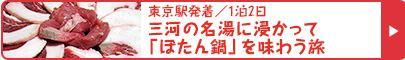 東京駅発着／1泊2日　三河の名湯に浸かって「ぼたん鍋」を味わう旅