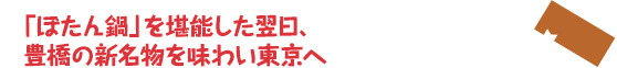 「ぼたん鍋」を堪能した翌日、豊橋の新名物を味わい東京へ