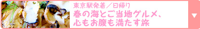 東京駅発着／日帰り　春の海とご当地グルメ、心もお腹も満たす旅